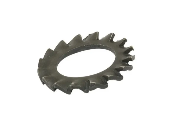 washer shakeproof ext m10 s.5819