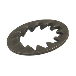 Flat / Spring Washers