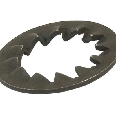 Flat / Spring Washers